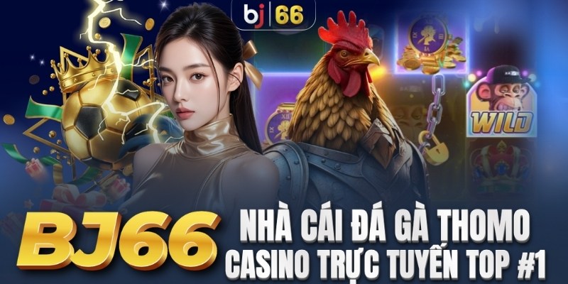 BJ66 Luxer ️| Sân Chơi Đá Gà Thomo Uy Tín Hàng Đầu 2025 thumbnail