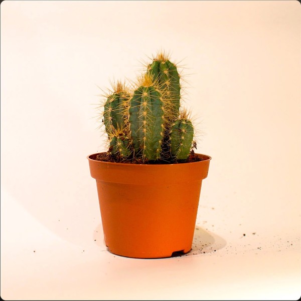 Take Time (single) thumbnail