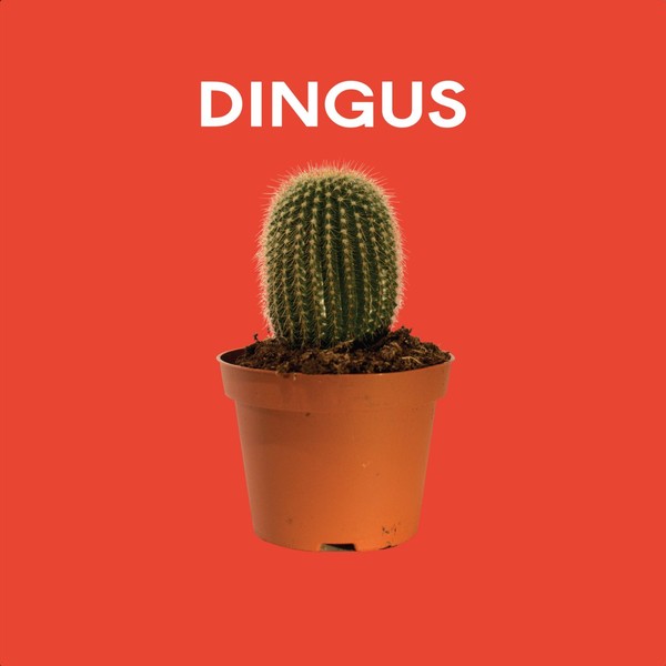 Dingus (album) thumbnail