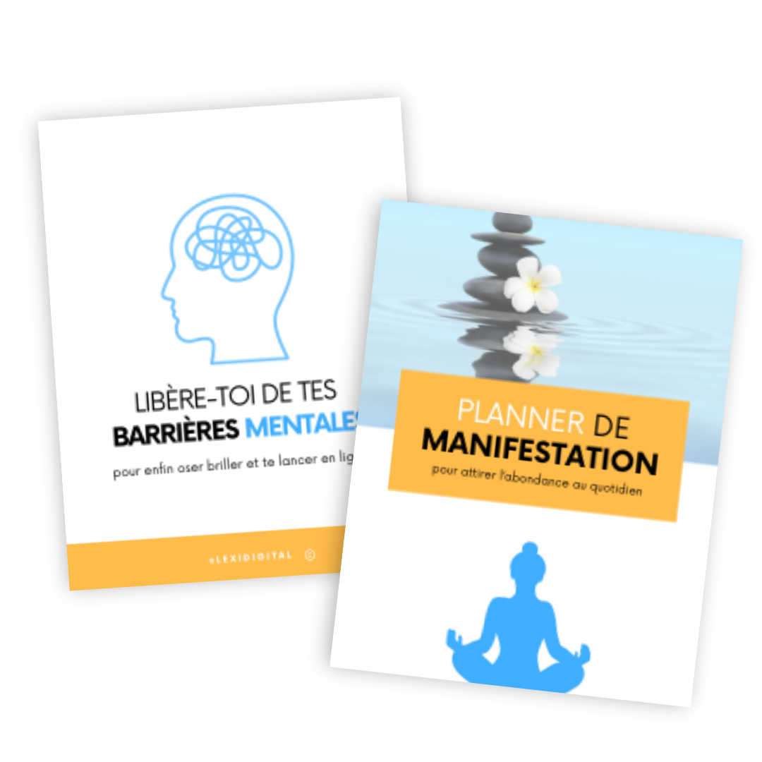 Duo mindset : Comment attirer l’abondance financière dans ta vie thumbnail