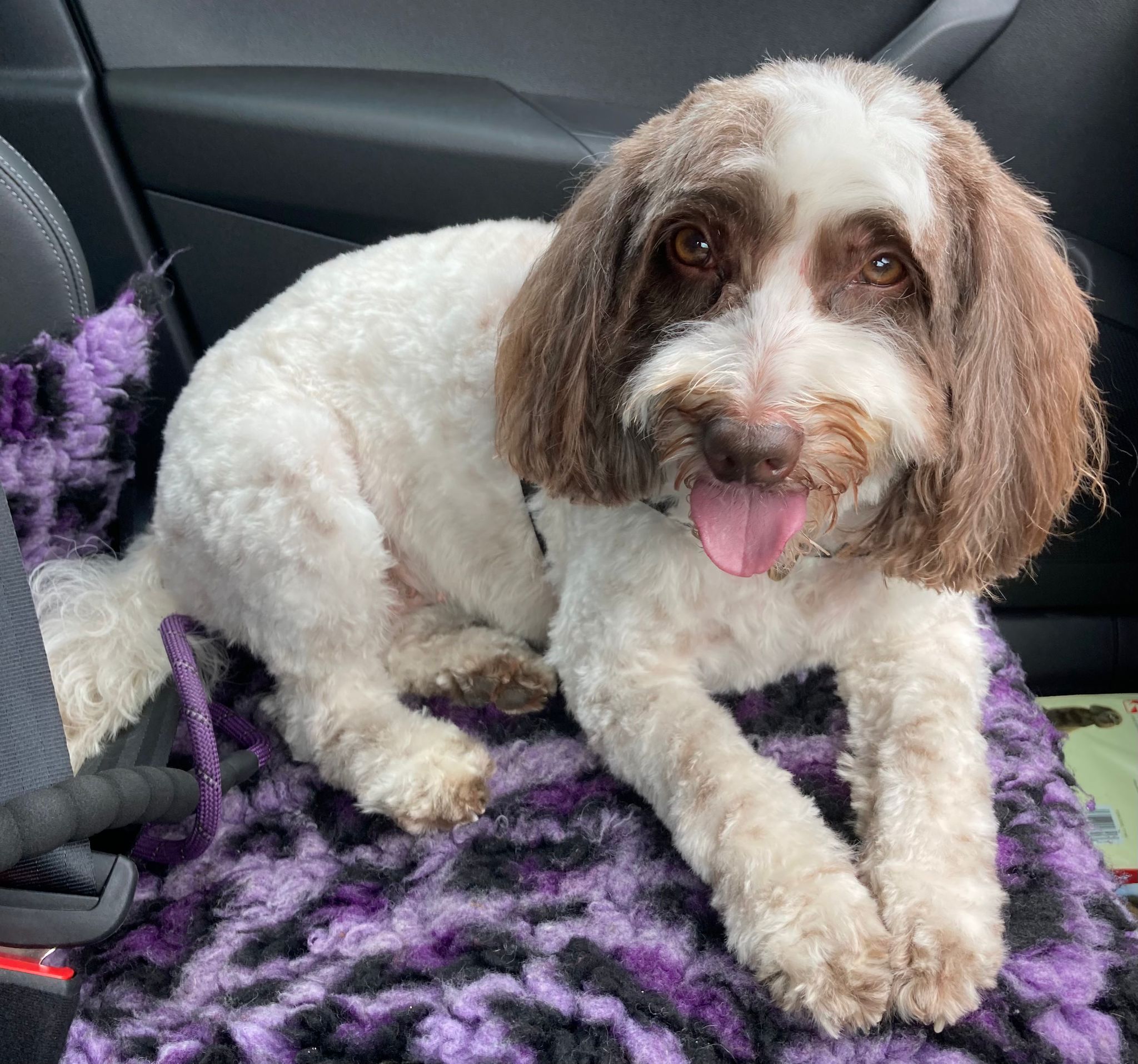 Blogs and news thumbnail