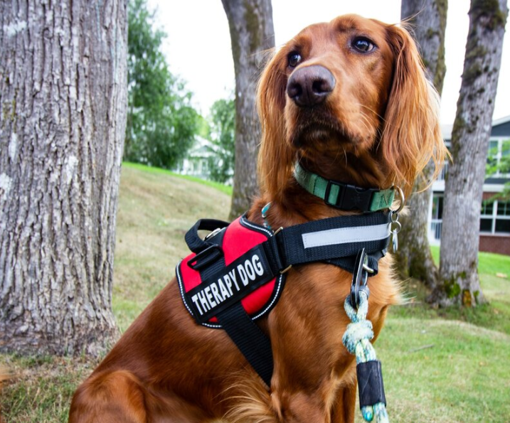 Our Services thumbnail