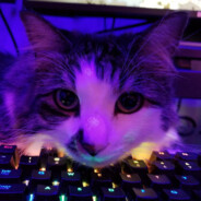 Steam thumbnail