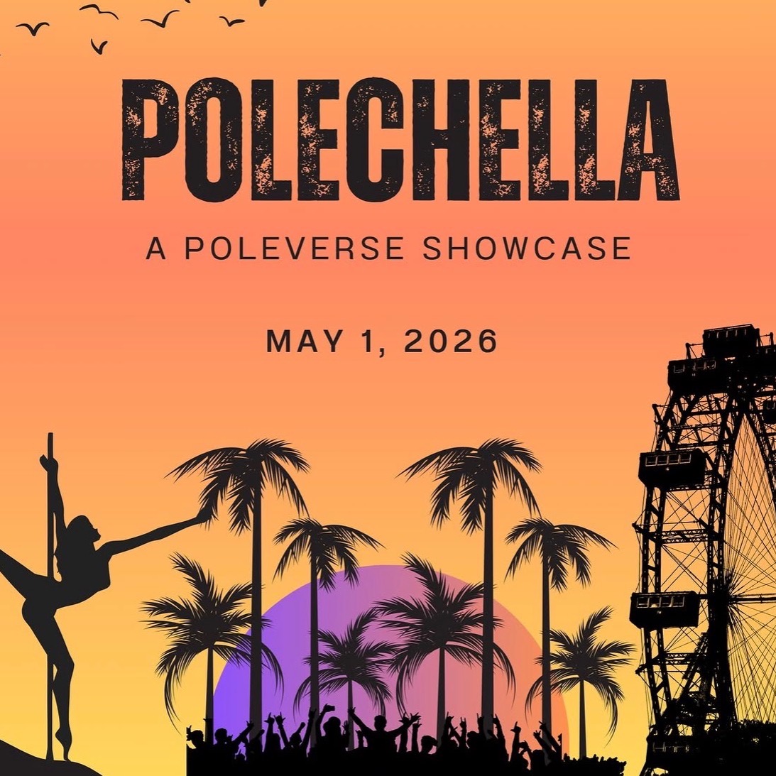 Polechella May 1st Pole Verse Studio Richmond,Va thumbnail