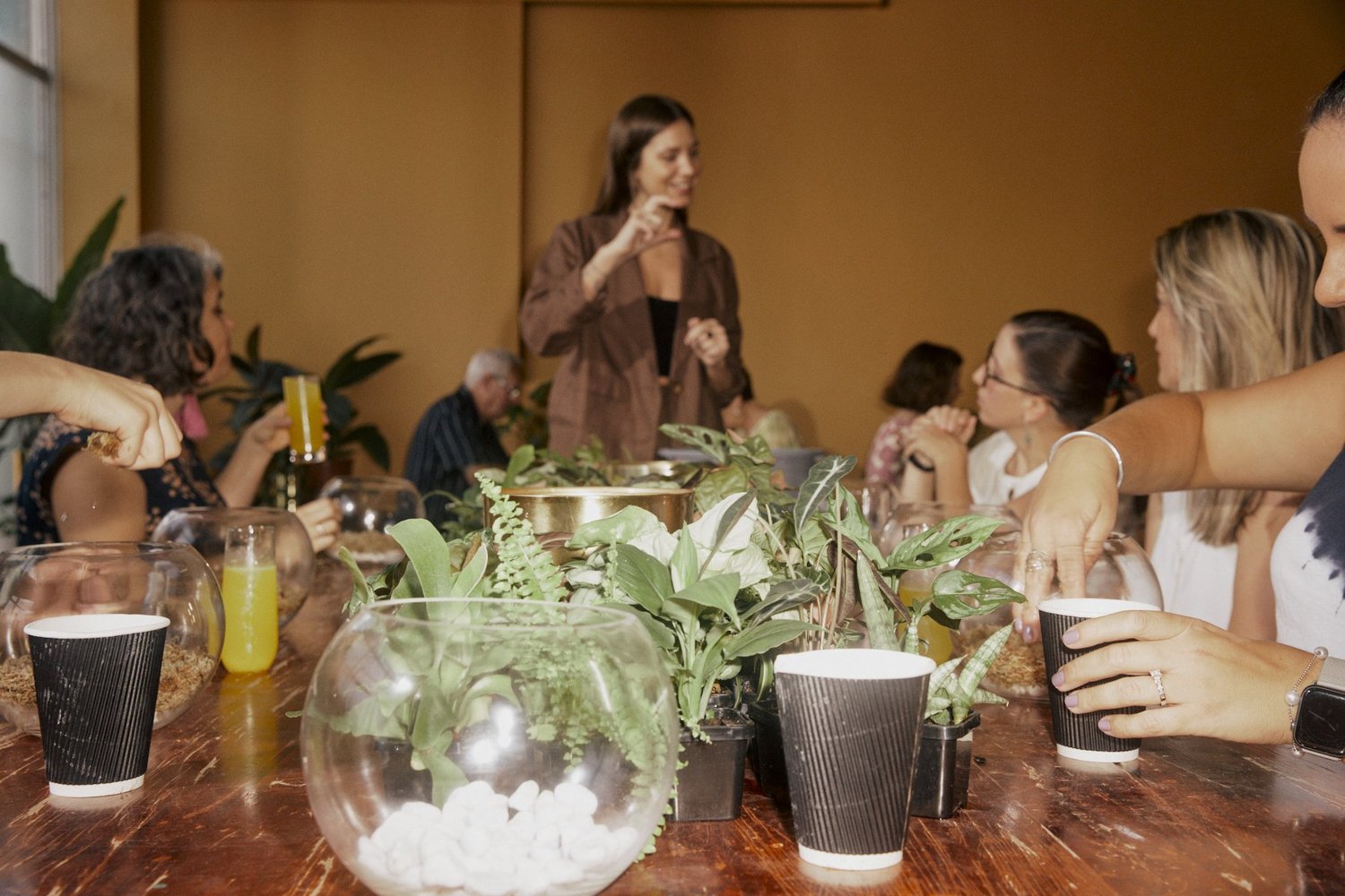 Plant Workshops - The Plant Whisperer  thumbnail