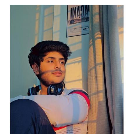 Raunak2810 - Overview thumbnail