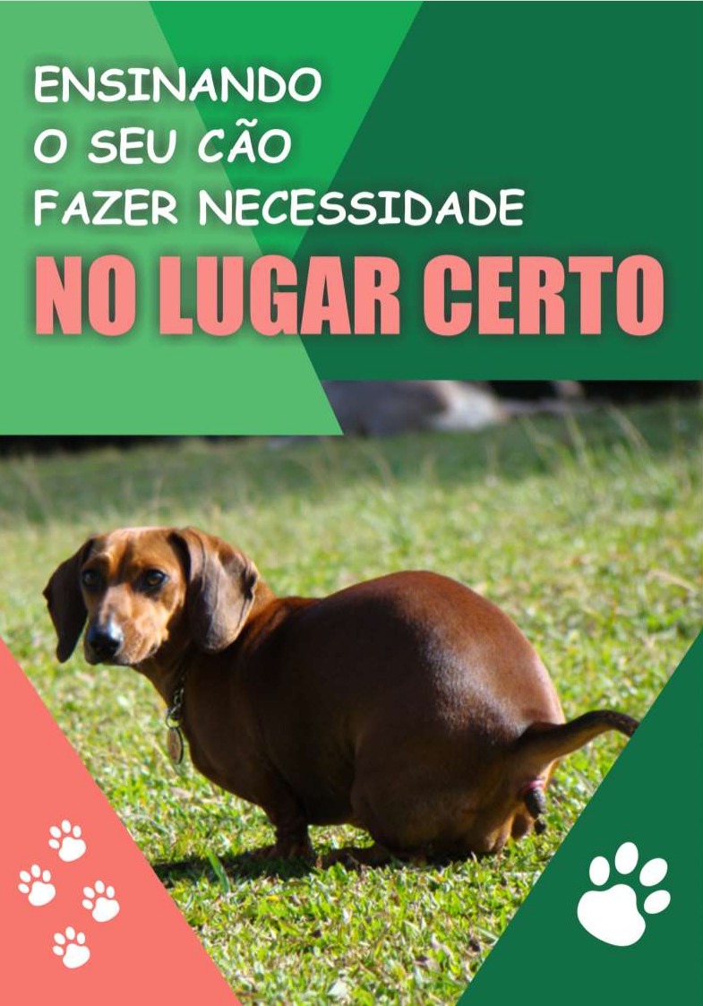 Ensinando seu cão xixi e coco no lugar certo. thumbnail