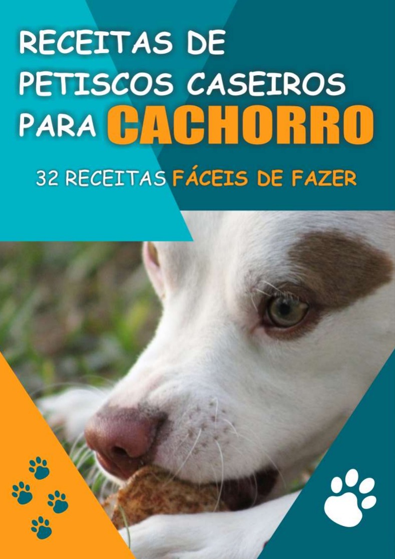 Receitas Caseiras para Cachorros thumbnail