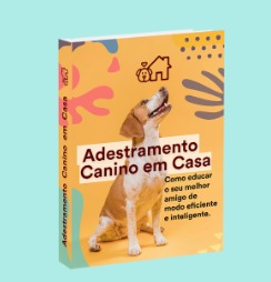 Adestrando meu Cão em casa thumbnail