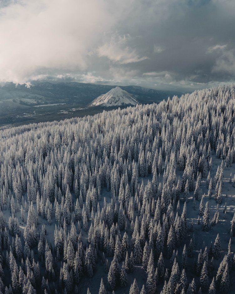 I N S T A G R A M thumbnail