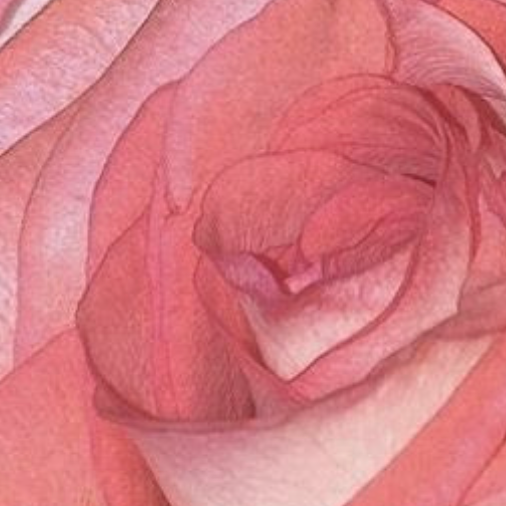 doula offerings thumbnail