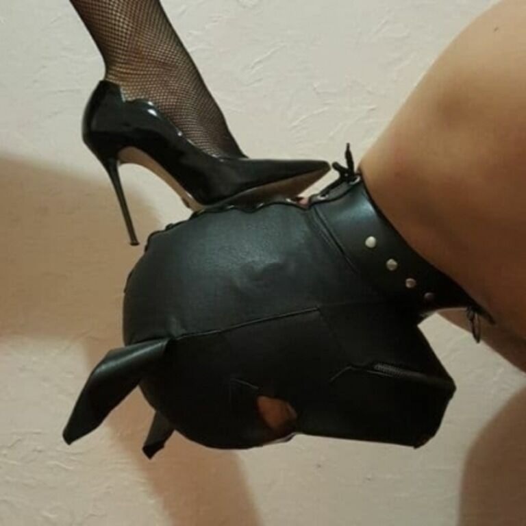 FEMDOM LIVE WEBCAMS thumbnail