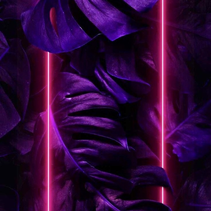 ANANDA SER - ENGLISH thumbnail