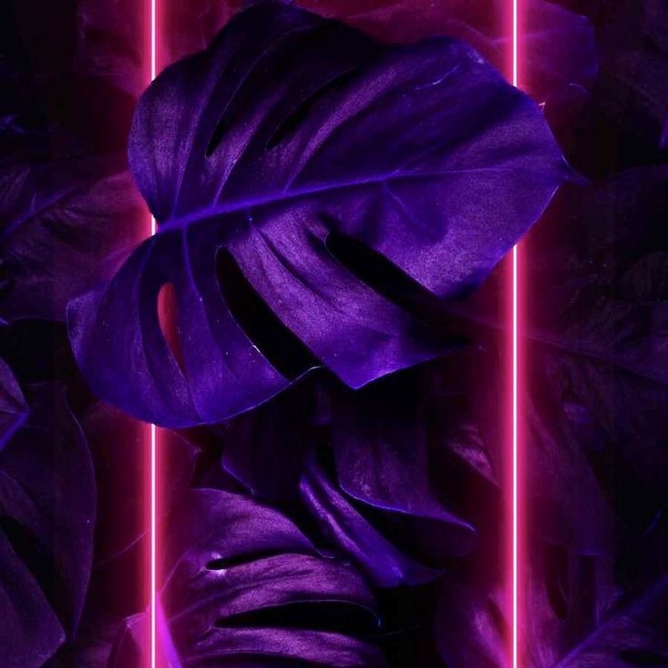 ANANDA SER - ESPAÑOL thumbnail