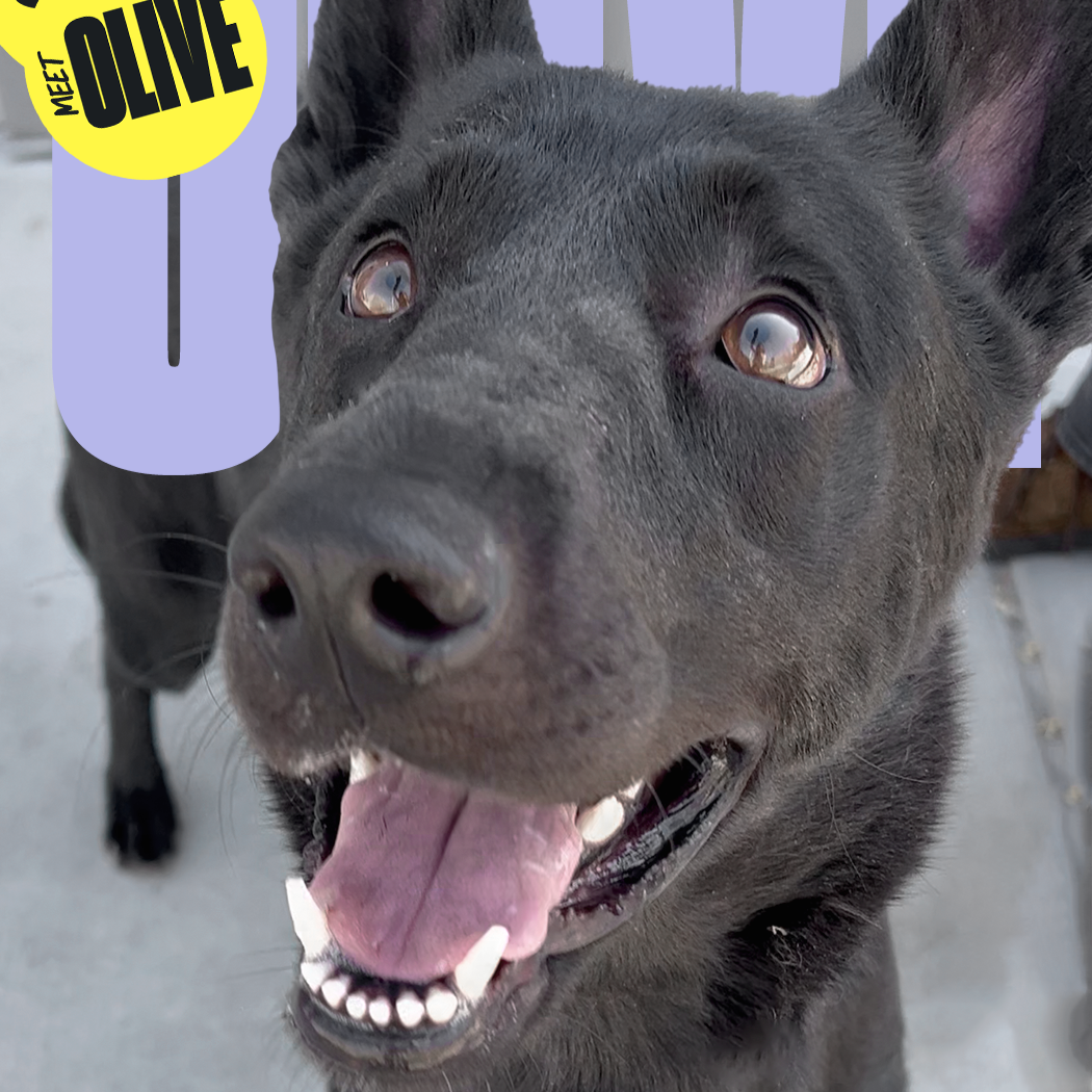 Say nice things about us on Sniffspot?🙏✨ thumbnail