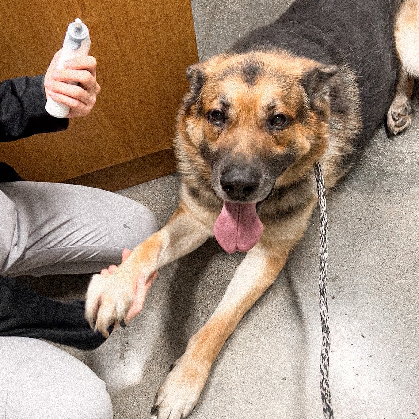 Become a Monthly Donor 🫶 thumbnail