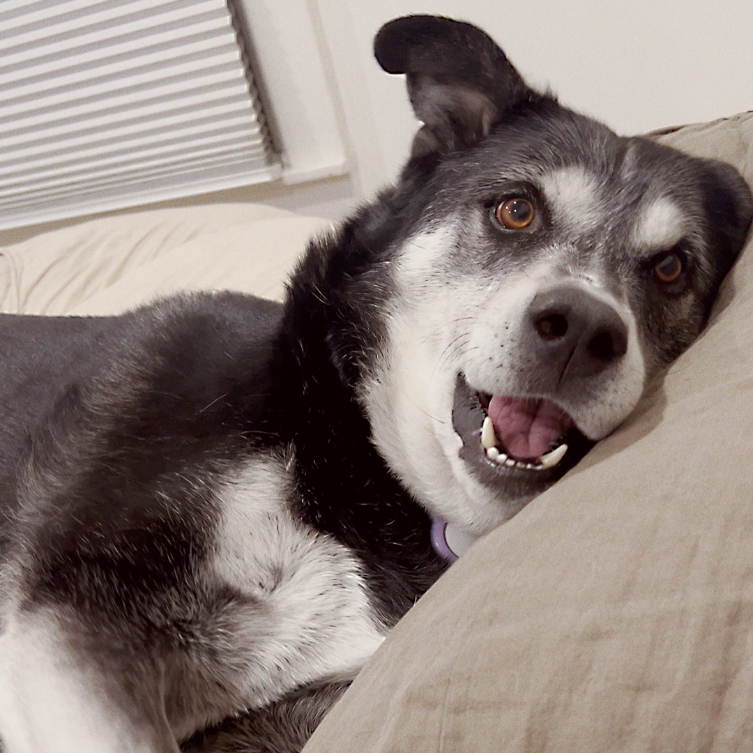 Paypal 🫶 thumbnail