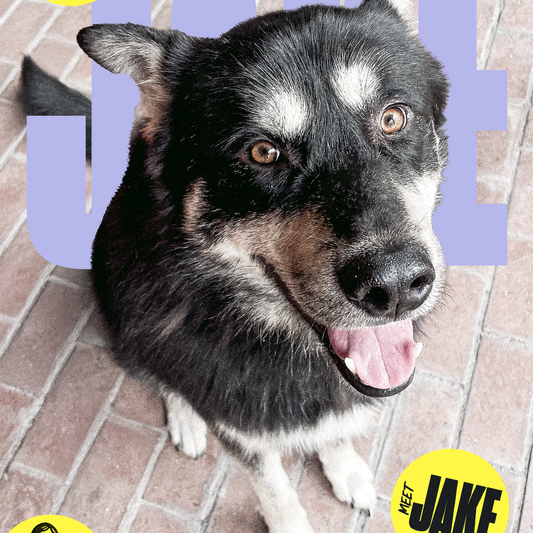 Venmo 🫶 thumbnail