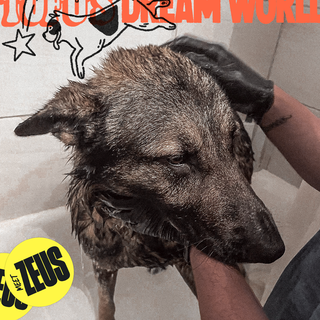 Vote for us on MyGivingCircle✨  thumbnail