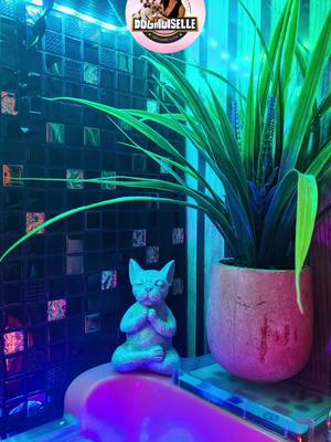 Cum arată o ședință SPA pentru un cățel?  ⭐️Hidroterapie și ozonoterapie⭐️ Pentru mulți oameni este doar o baie. Pentru 