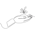 L'entreprise  Ringana  thumbnail