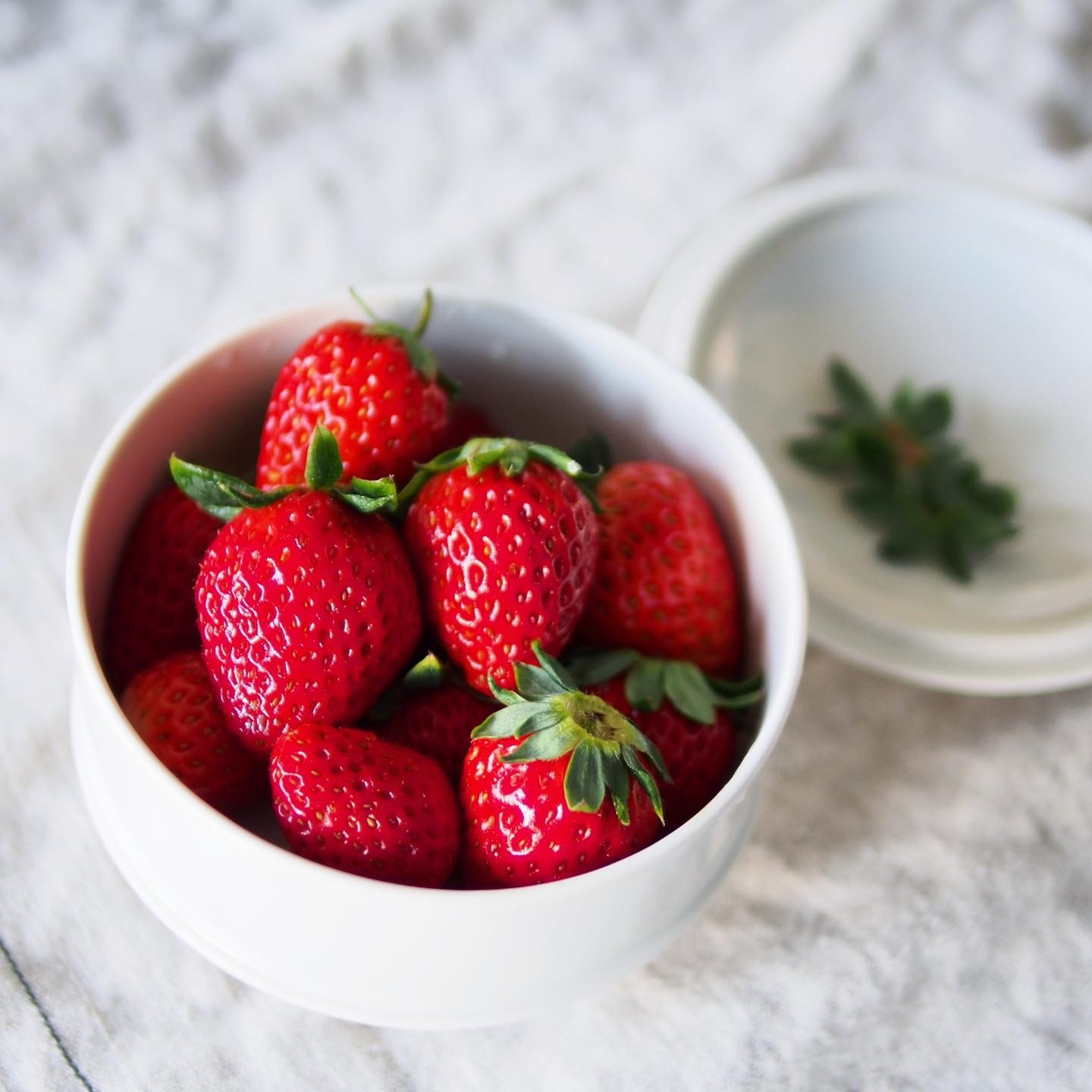 新規ご入会をご希望の方はこちらから thumbnail