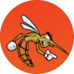 Catalogo Toldillos Cortinas → thumbnail