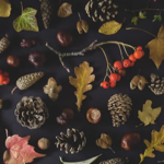 Healthy Holidays Guide thumbnail