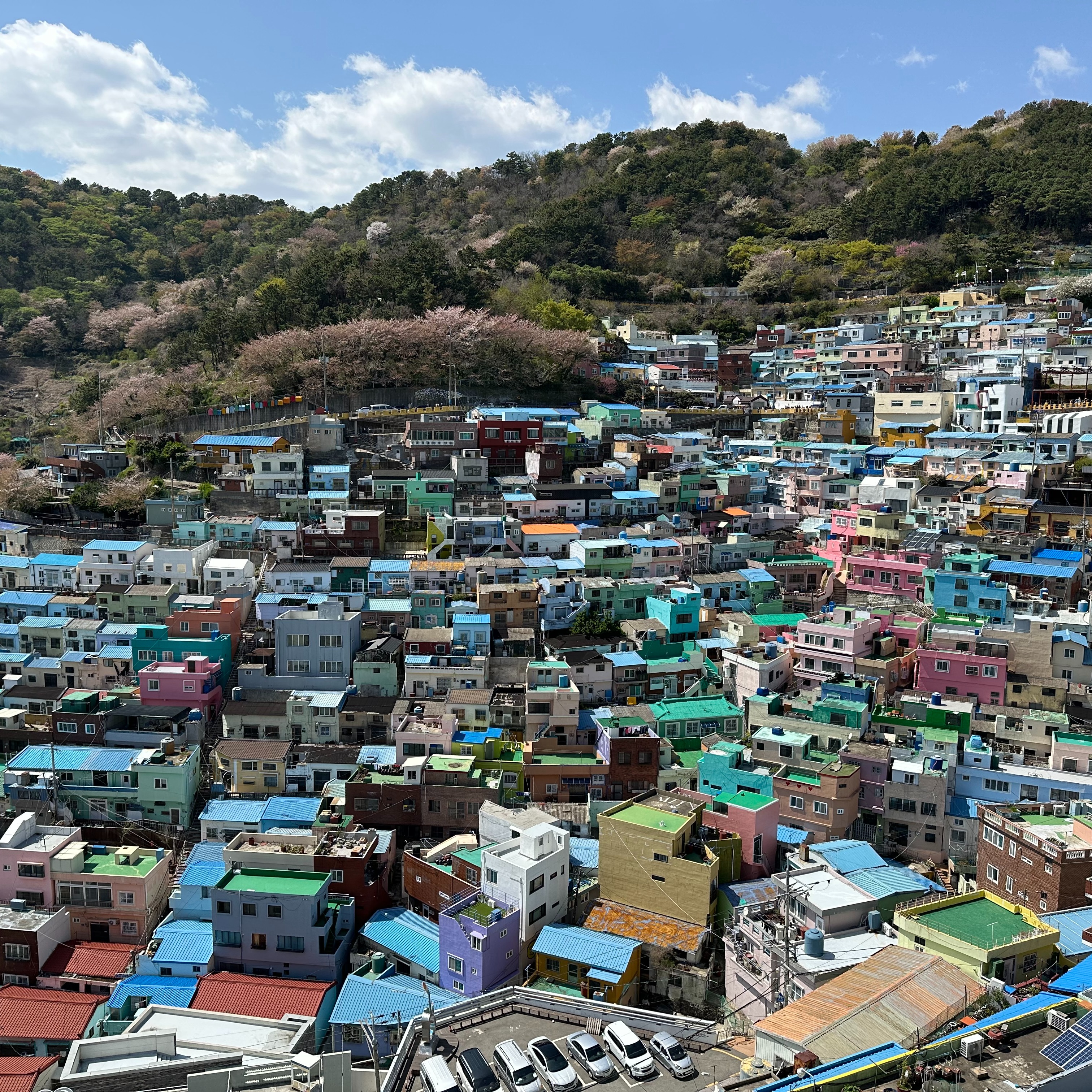 Free 3-Day Busan Itinerary thumbnail