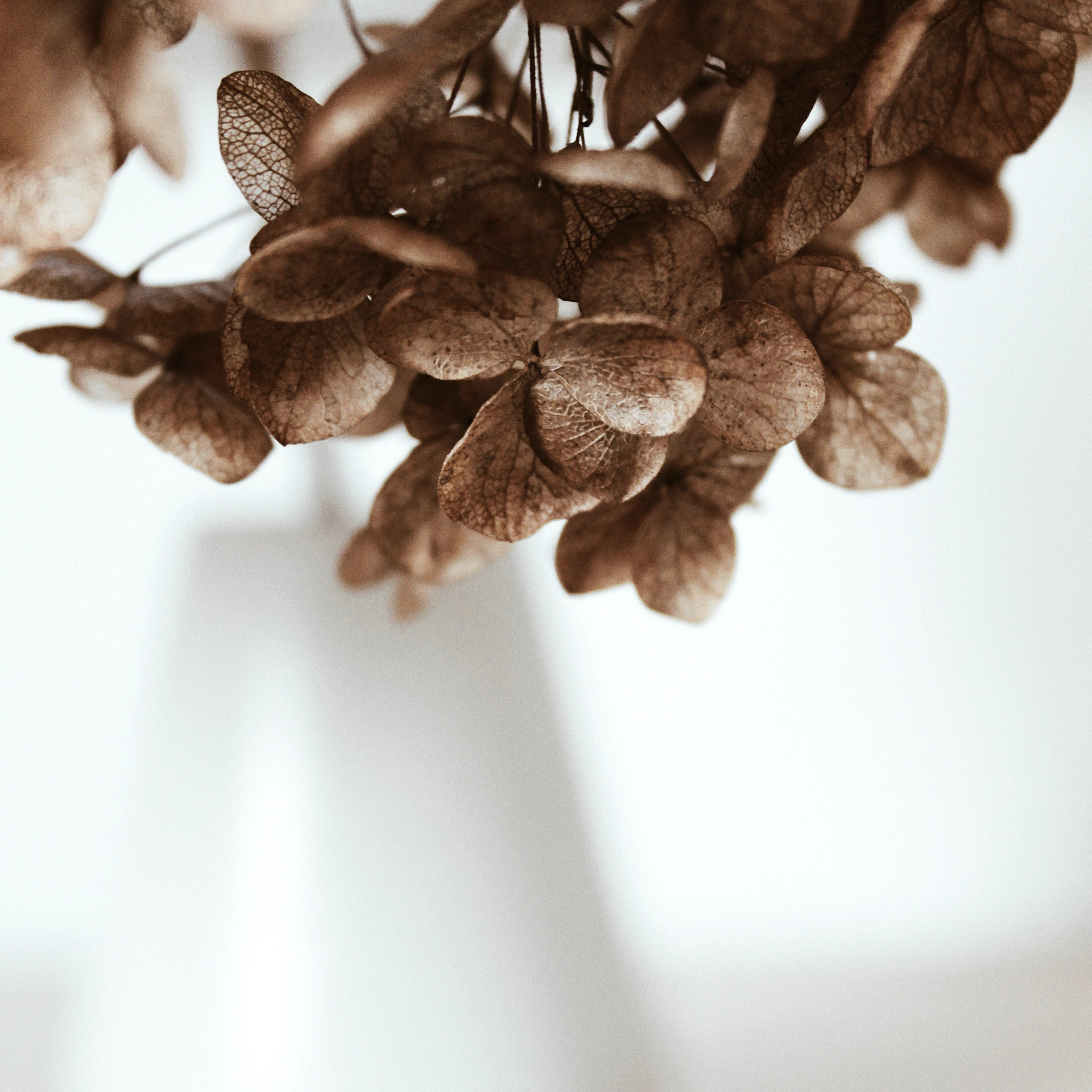 Tienda de arte, piezas decorativas y acabados thumbnail