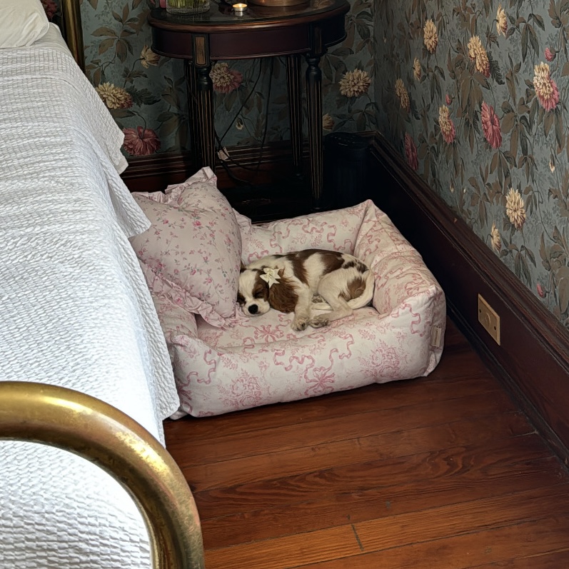 loveshackfancy dog bed  thumbnail