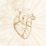 The Vibrant Heart ™ thumbnail