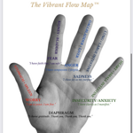 The Vibrant Flow ™ thumbnail