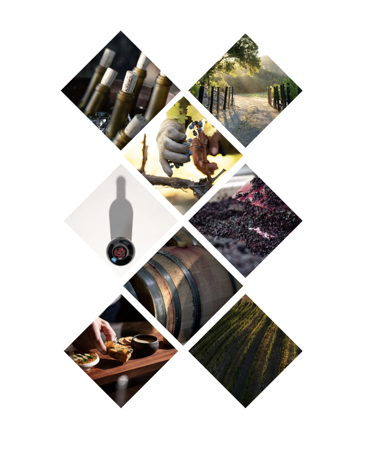 Mosaic - Media Production thumbnail