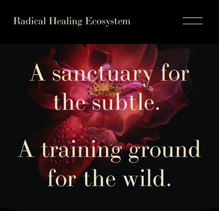 GET ON THE LIST: Radical Healers 2026 Immersion Programming thumbnail