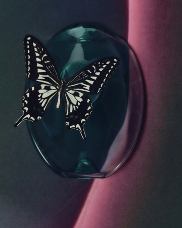 Free Journey Experience Dec 30th: Imaginal Worlds- anchor new realities for 2026 thumbnail