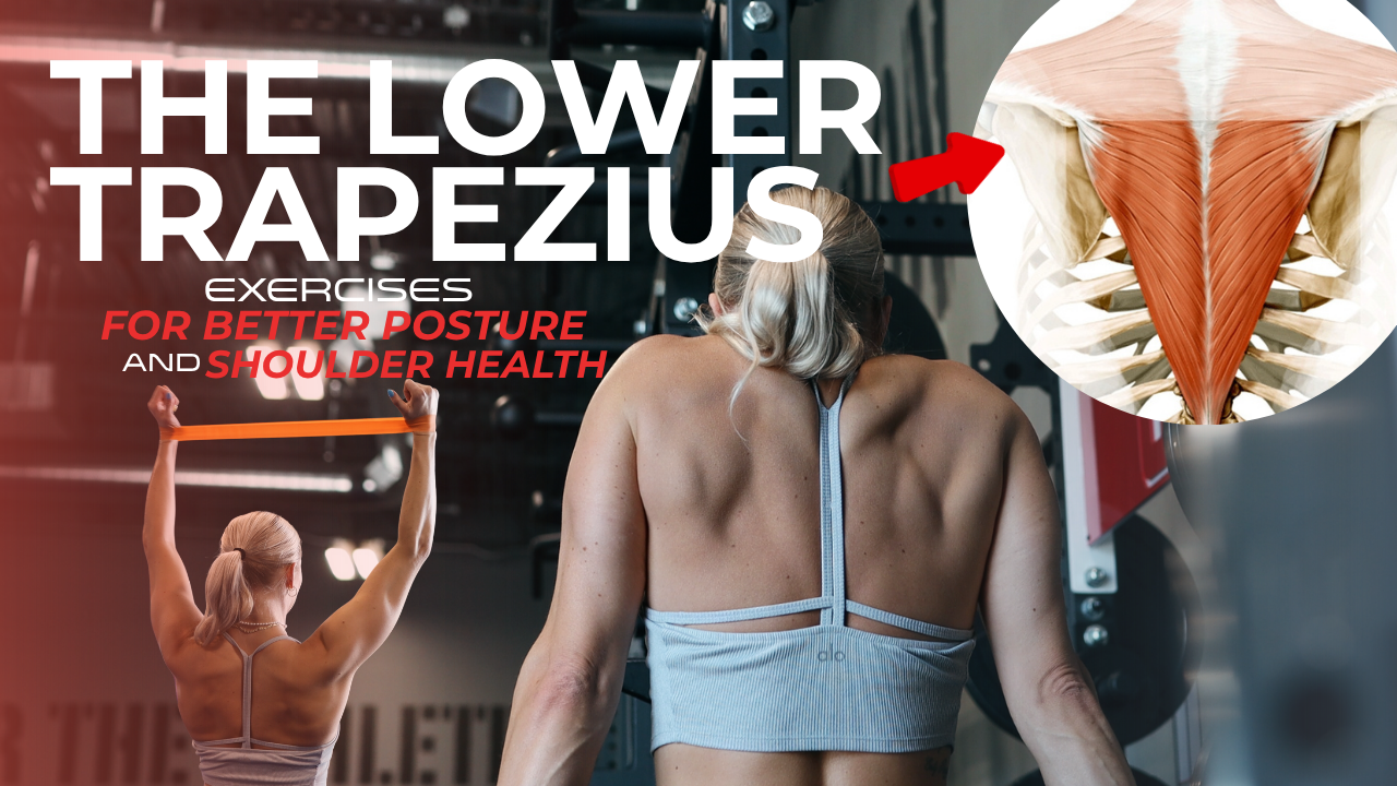 Lower Traps thumbnail