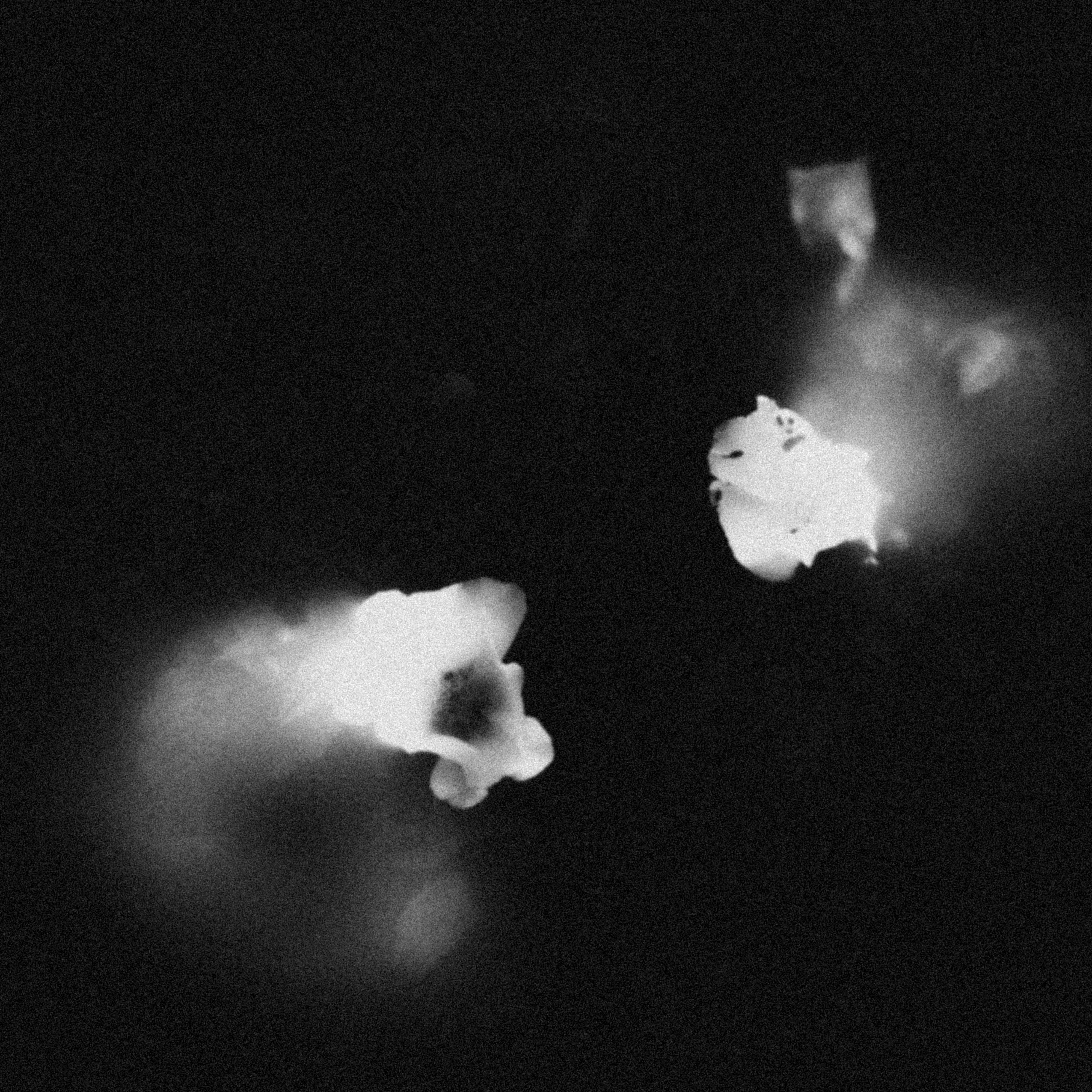Oracle Film Light Presets thumbnail
