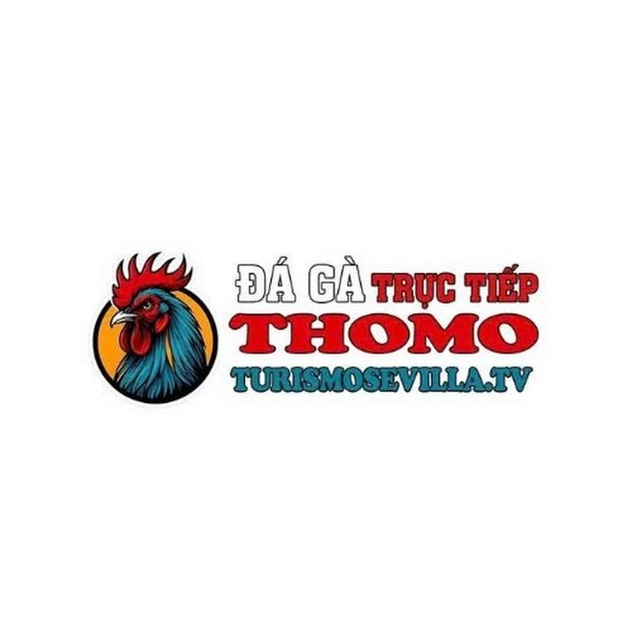 TRỰC TIẾP ĐÁ GÀ THOMO HÔM NAY TẠI CAMPUCHIA thumbnail