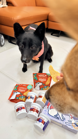 寵物蔓越莓 魚油保健 折扣碼MAI thumbnail