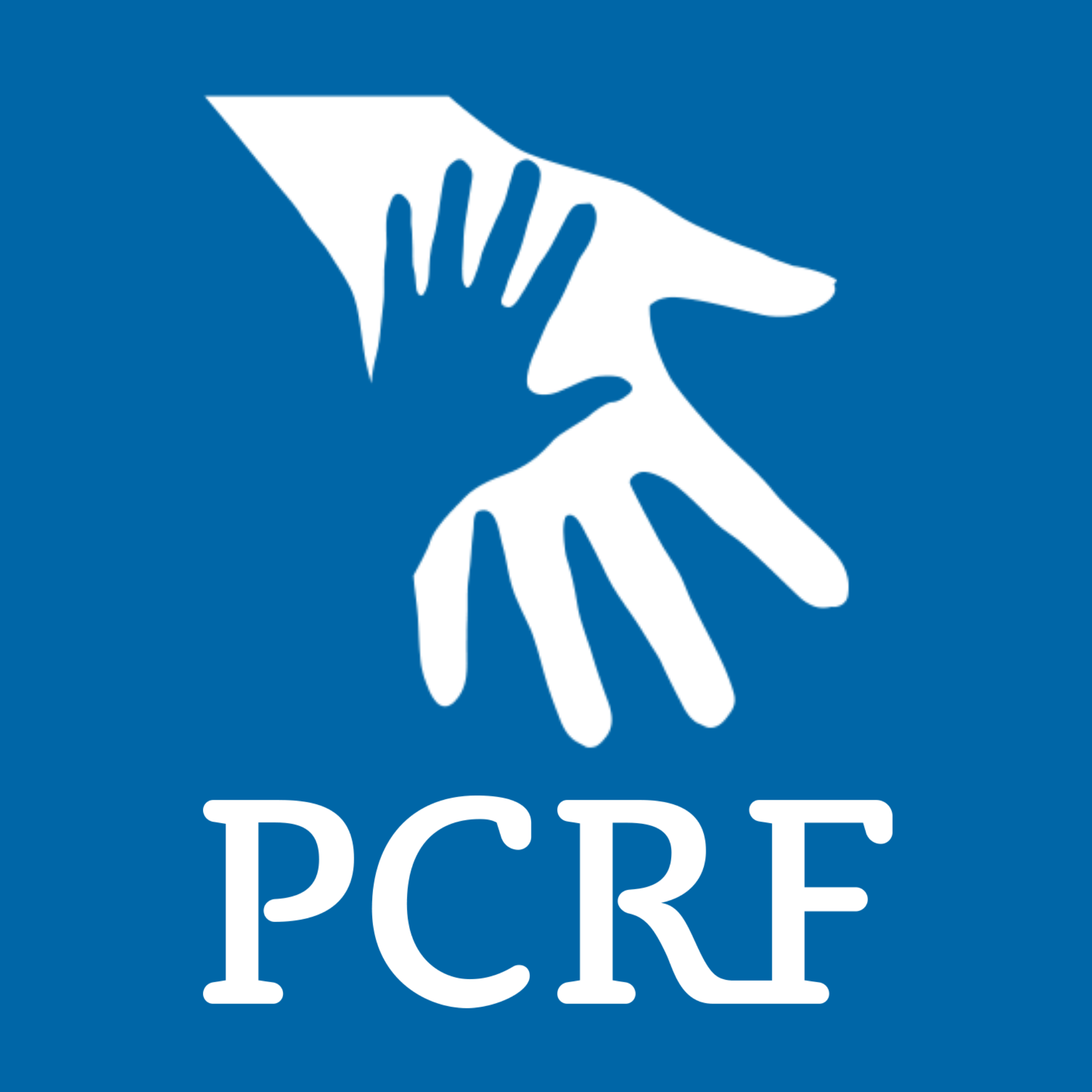 PCRF Charity Raffle thumbnail