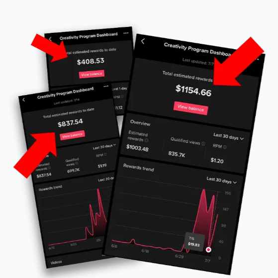 DFY Dave - 1# Monetized TikTok Accounts | Get TikTok Monetization Fast thumbnail