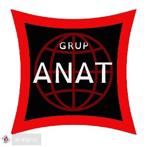ANATorg.tr thumbnail