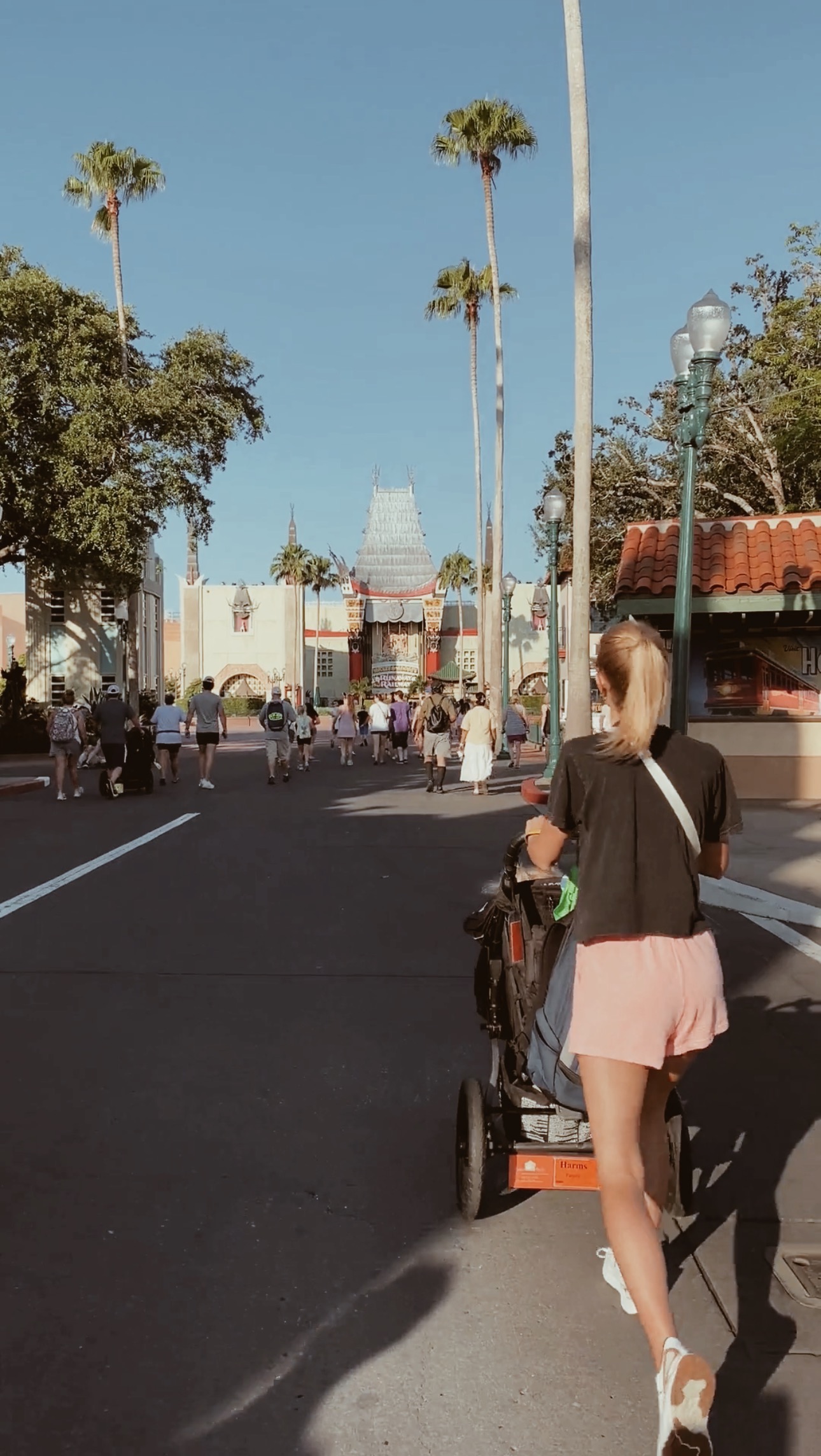 Rent my favorite stroller for Disney! thumbnail