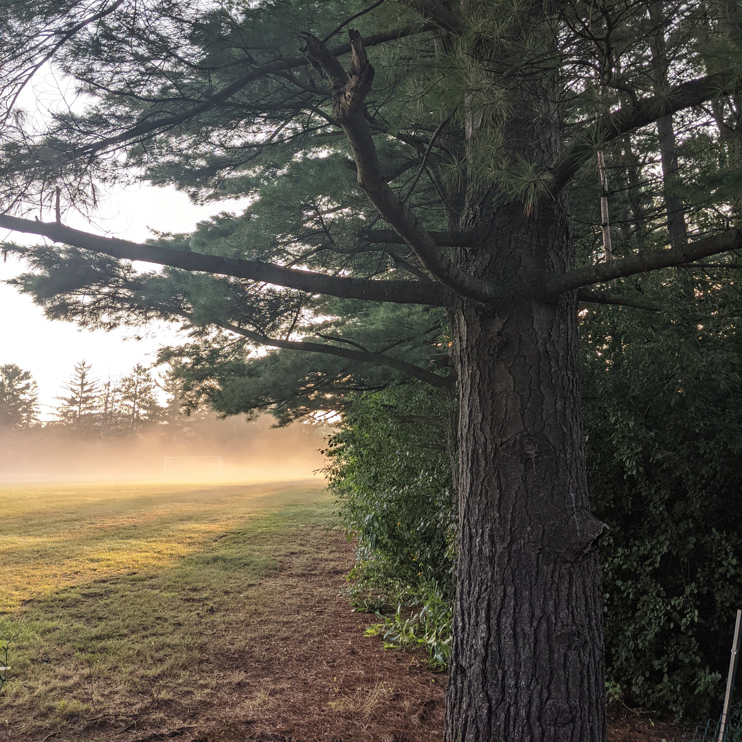 calendrier thumbnail