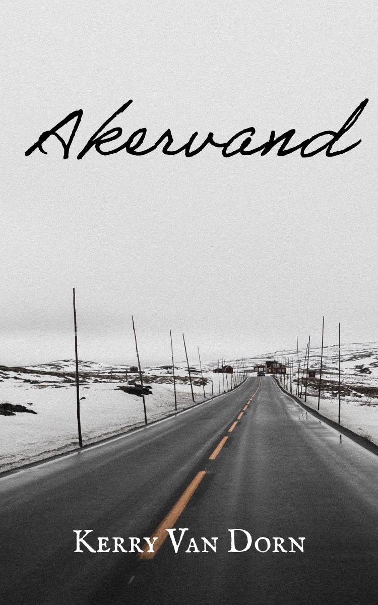 Kindle: eBook thumbnail