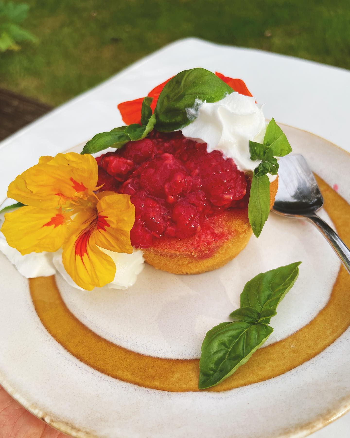 A sweet lil afternoon treat. Raspberry shortcake with garden basil and nasturtium blossoms. Raspberries are so in season