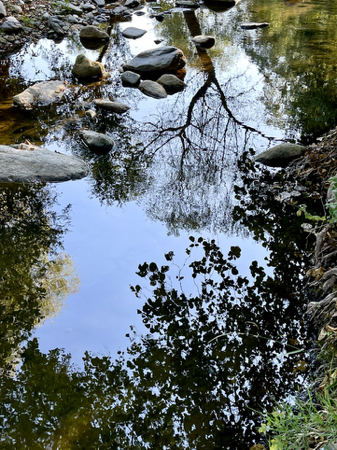 Natura Abstract: 8X10 inch (A2 format) high quality archival print.  thumbnail