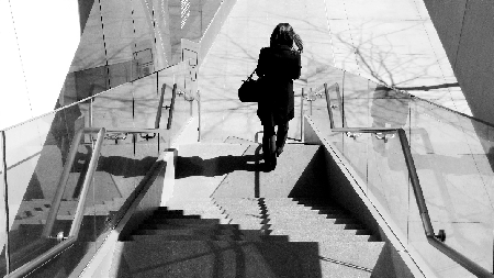 Afternoon Patterns: 20X30IN (A1 format) high quality archival print. Free shipping in the U.S. thumbnail