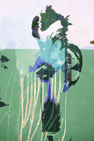 Days Eye: 16X20 inch (A2 format), high quality archival print. Free shipping in the U.S.  thumbnail